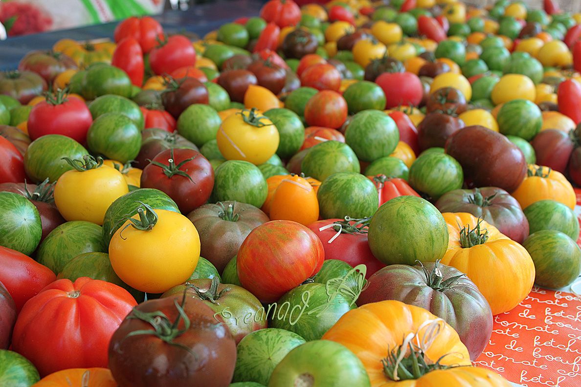 Tomates De Provence